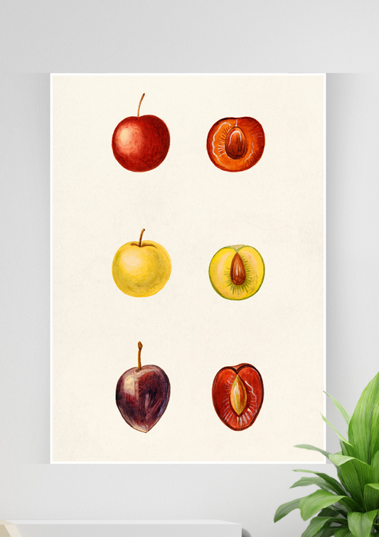 Art #36 Poster | Kitchen Posters